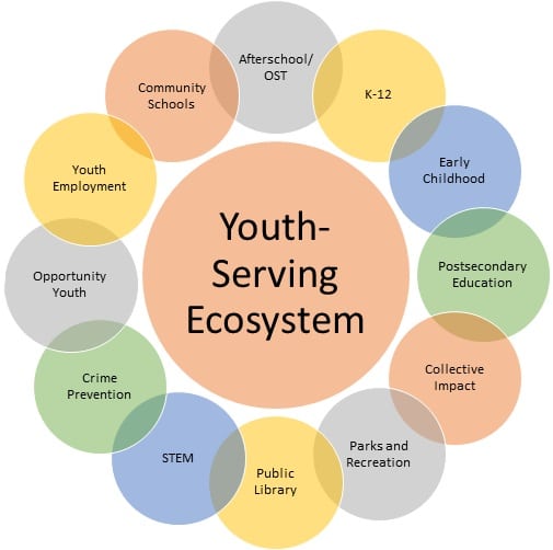 youth svc infographic