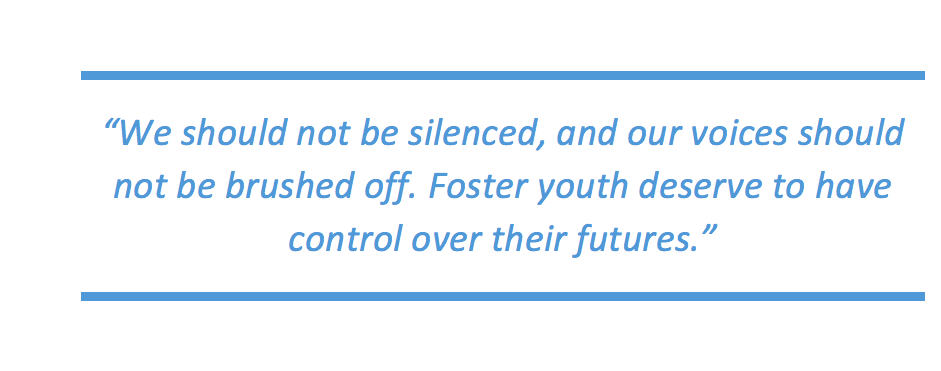 Elevating Youth Voice To Foster Change American Youth Policy Forum